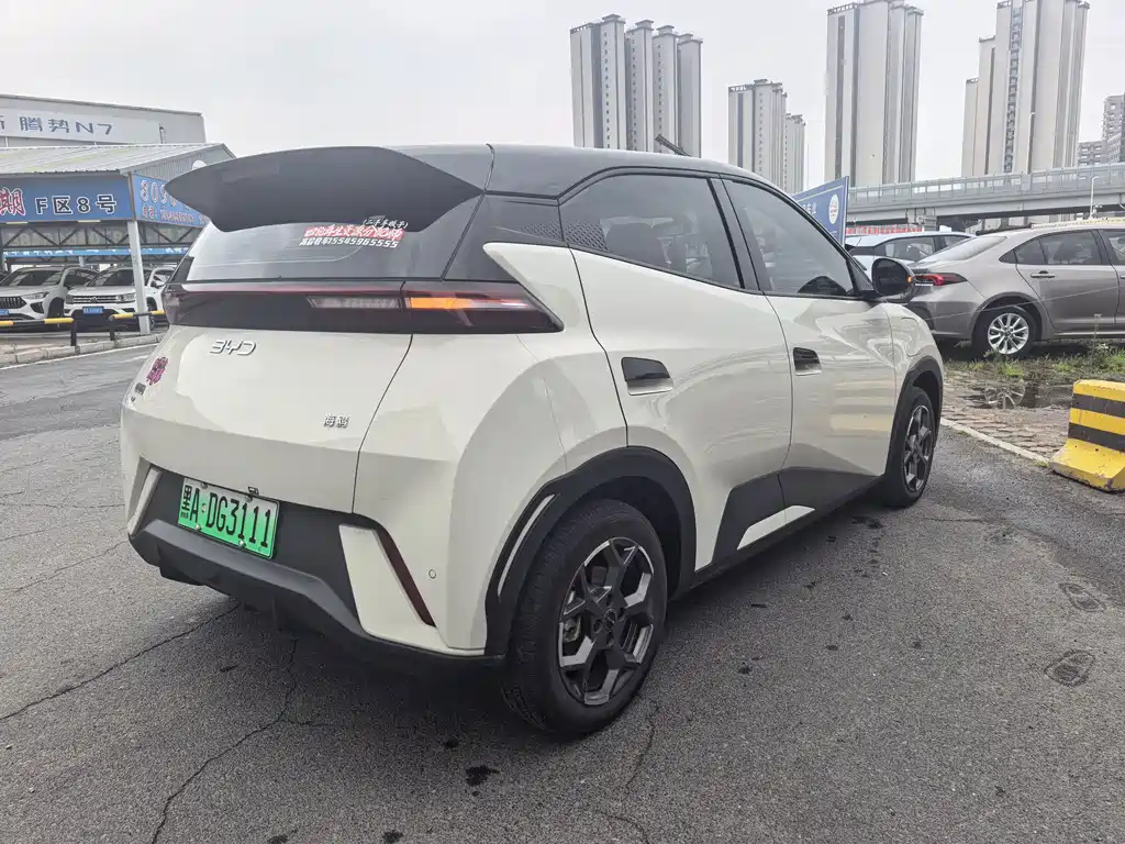 BYD Seagull 2024