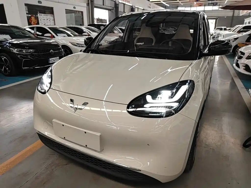 Wuling Bingo 2024