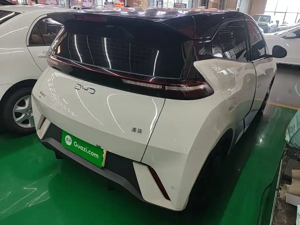 BYD Seagull 2024