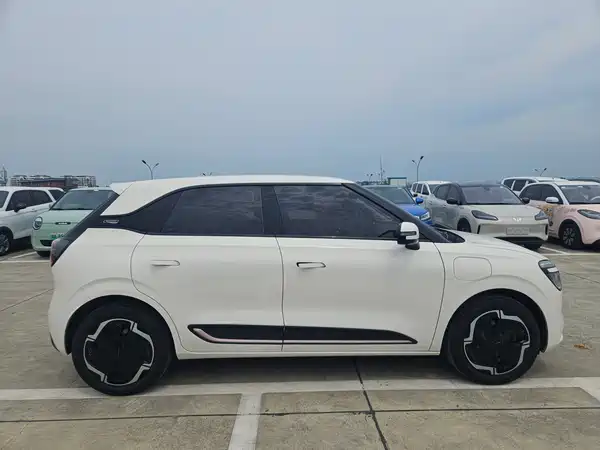 Dongfeng Nano 01 2025
