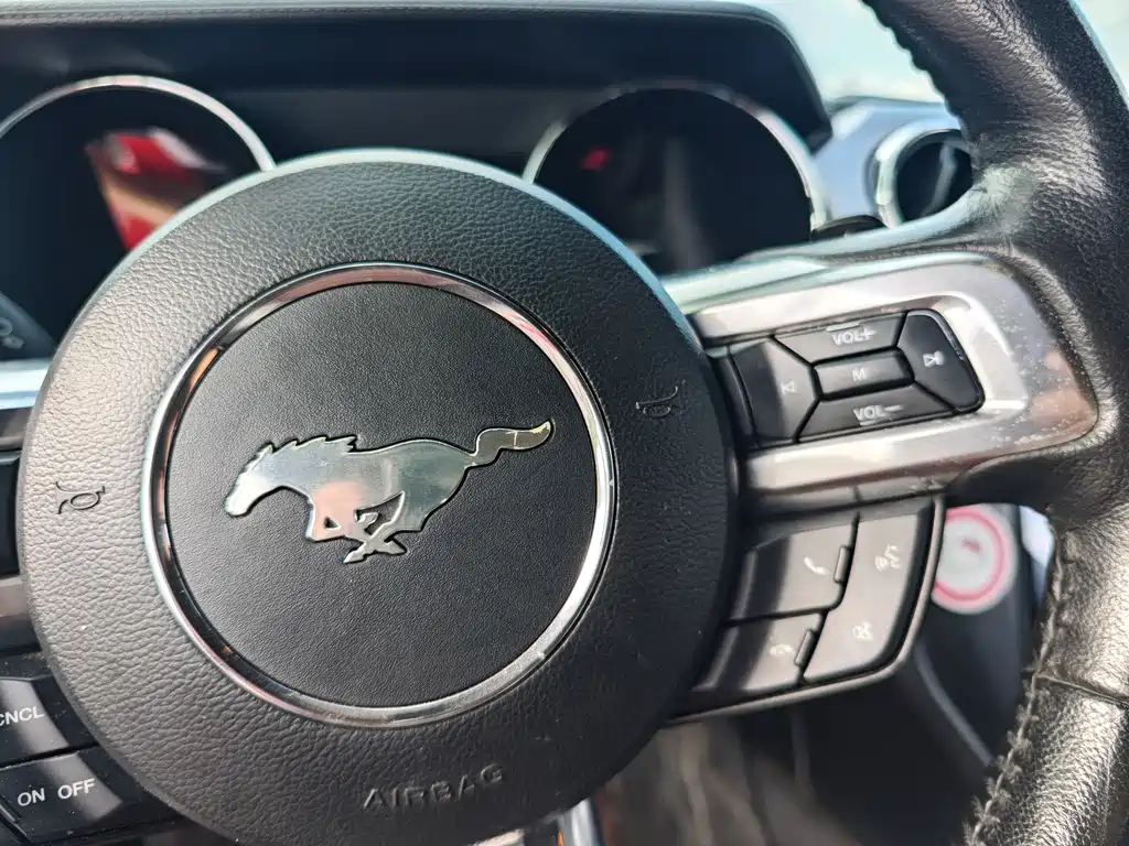Ford Mustang 2016 — фото 14