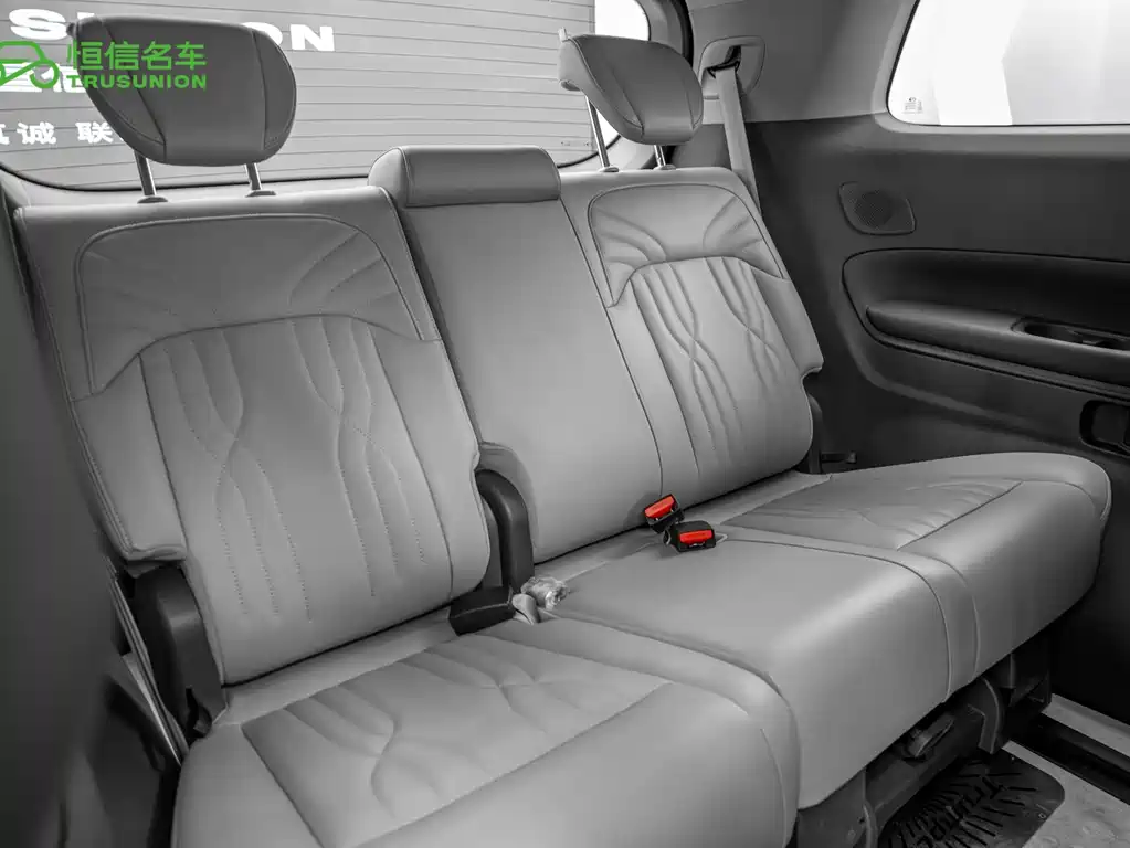 GAC Motor Trumpchi E9 2024 — фото 15