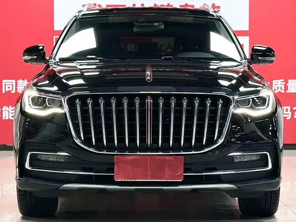 Hongqi HS7 2021