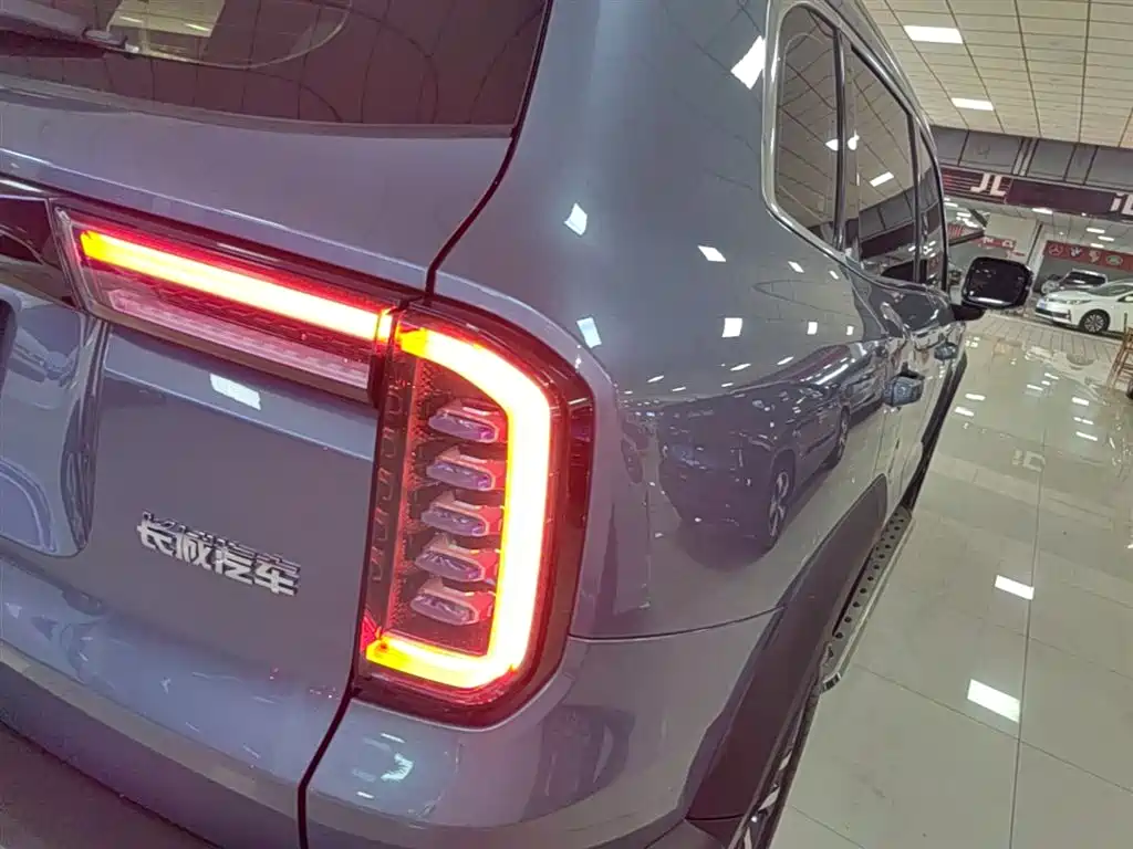 Haval Big Dog 2022 — фото 8