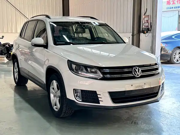 Volkswagen Tiguan 2013