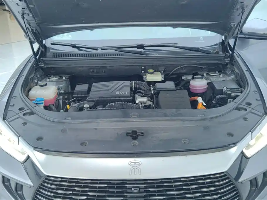 BYD Pro New Energy 2024 — фото 10
