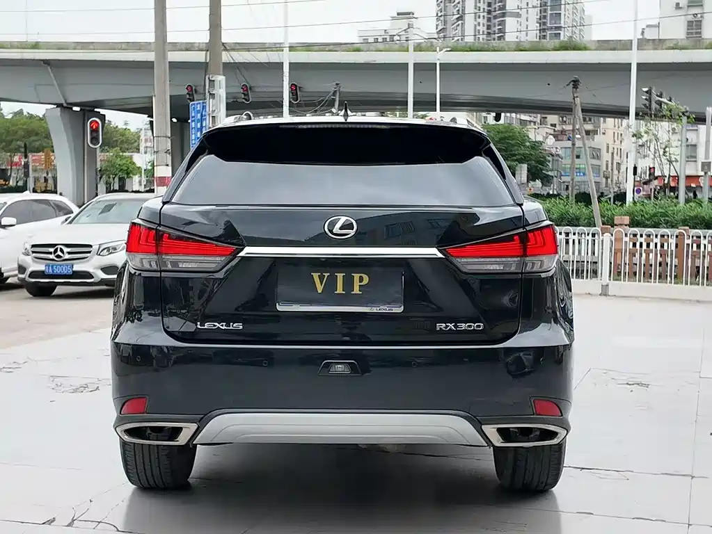 Lexus RX 2022 — фото 11
