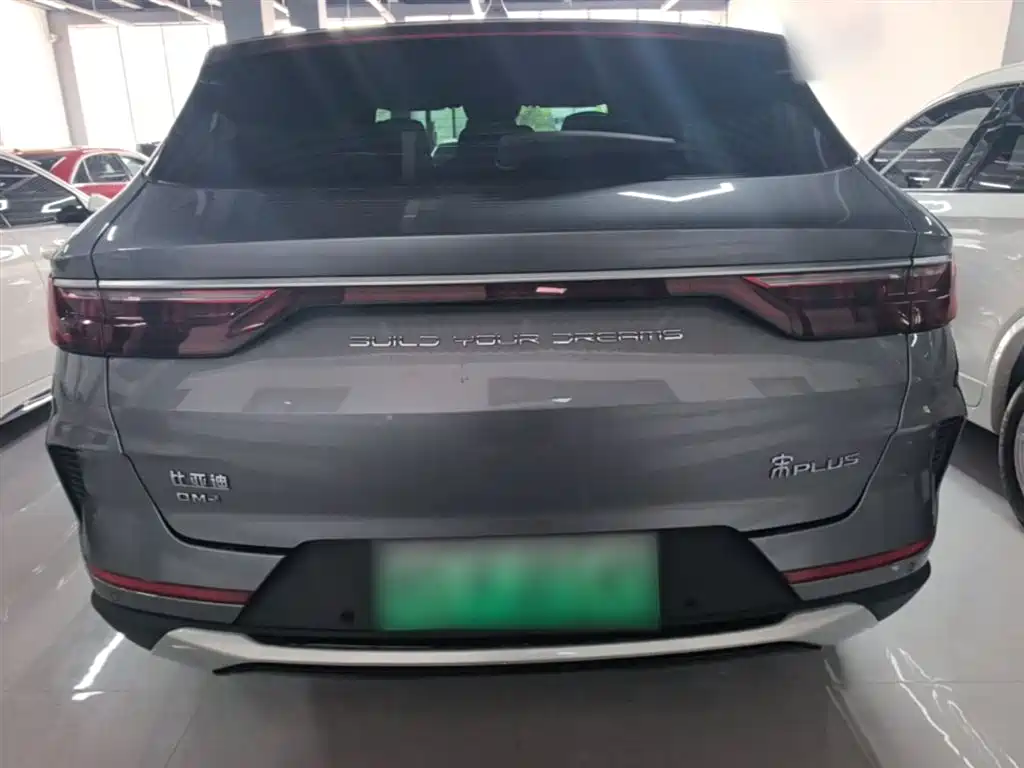 BYD PLUS New Energy 2023 — фото 6