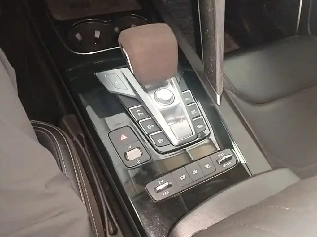 BYD Song Pro New Energy 2019 — фото 10