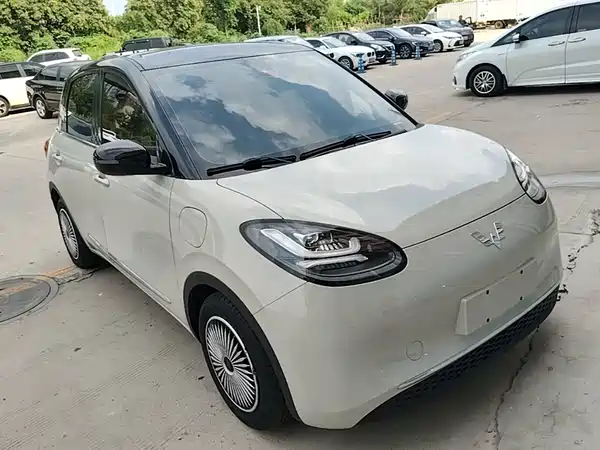 Wuling Bingo 2023