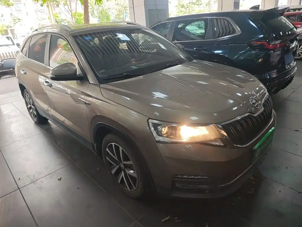 Skoda Kamiq 2019 — фото 4