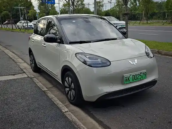 Wuling Bingo 2024