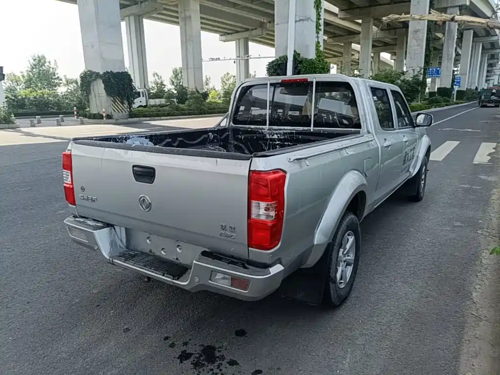 Dongfeng Ruiqi 2023