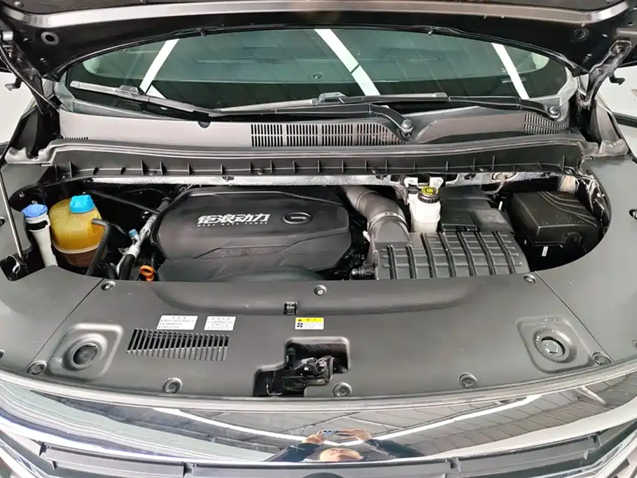 GAC Motor Trumpchi M8 2021 — фото 10