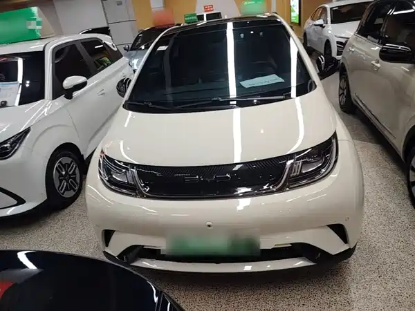 BYD Dolphin 2023