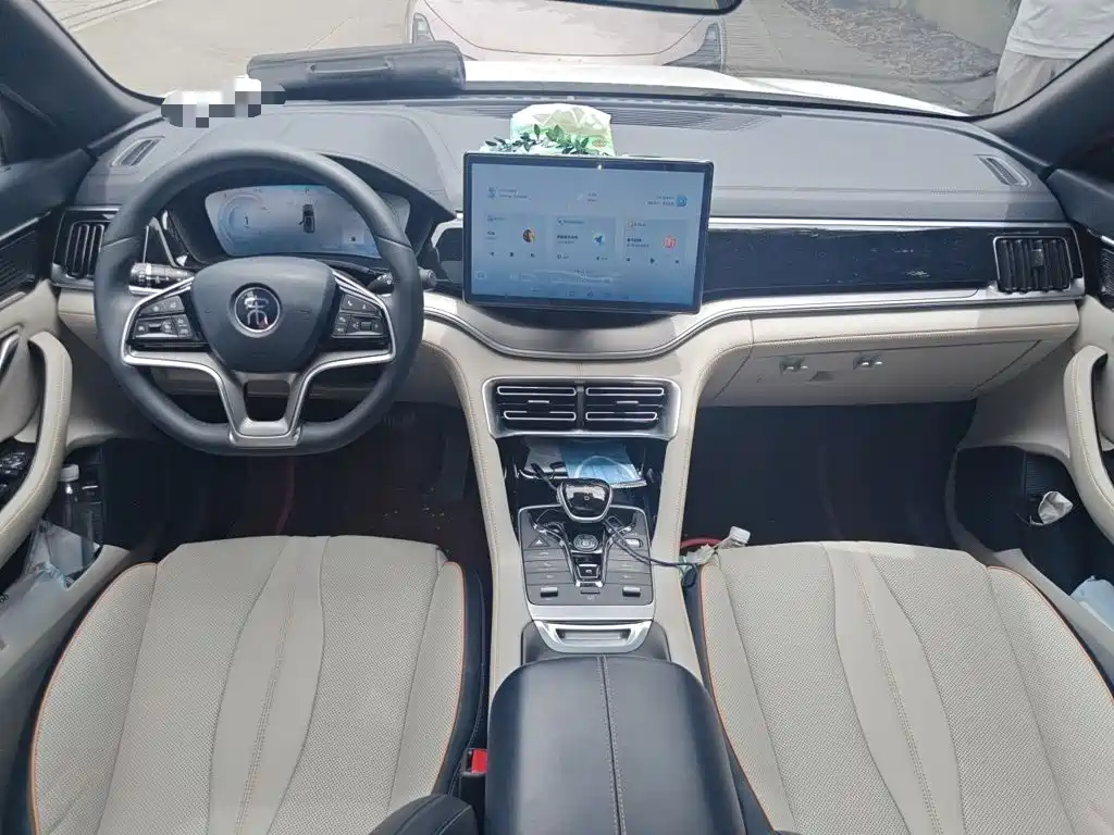 BYD Song PLUS New Energy 2021 — фото 13