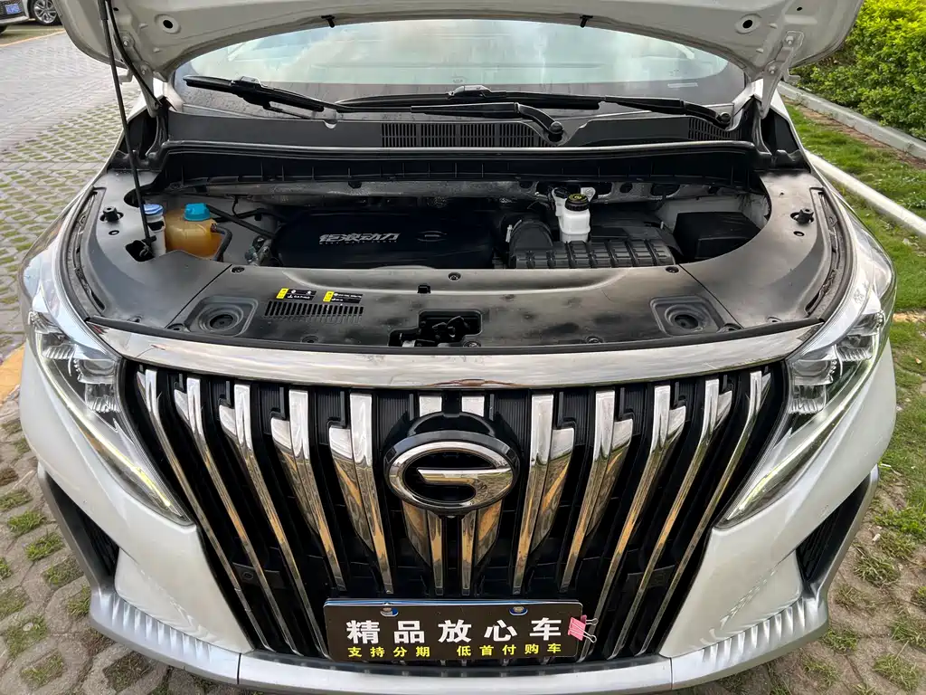 GAC Motor Trumpchi M8 2023 — фото 10