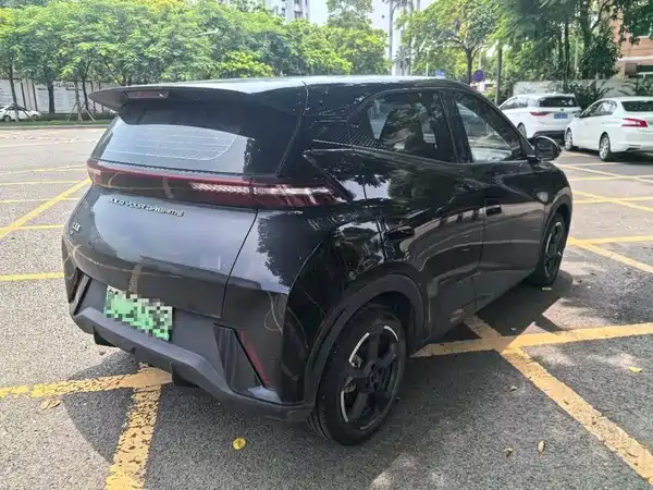 BYD Seagull 2024