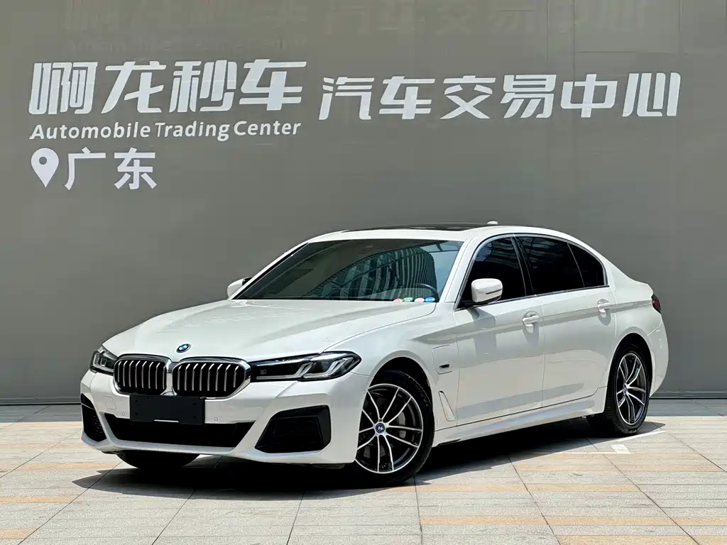 BMW 5 Series New Energy 2022
