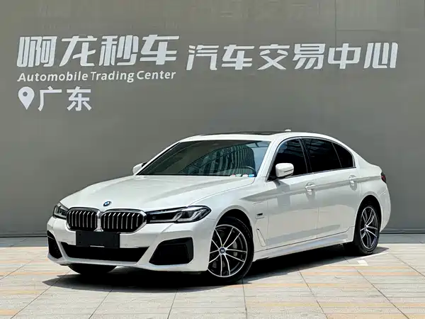 BMW 5 Series New Energy 2022