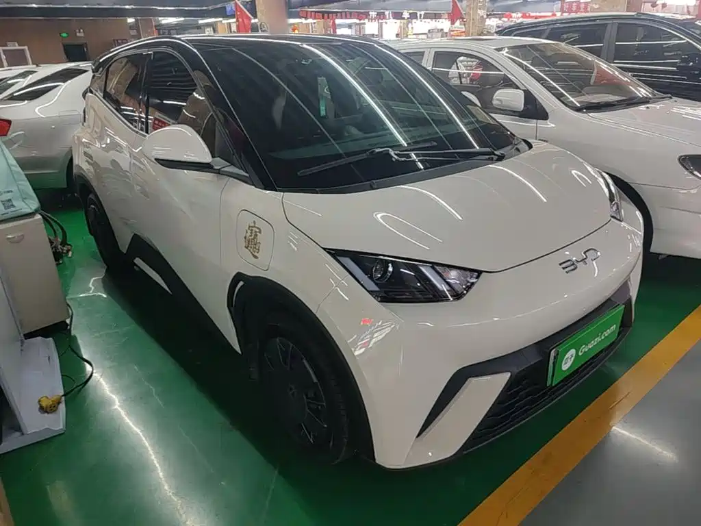 BYD Seagull 2024