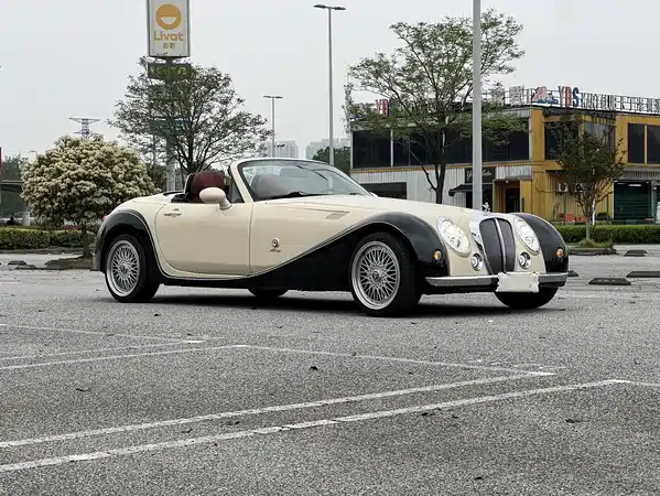 Mitsuoka Queen 2010