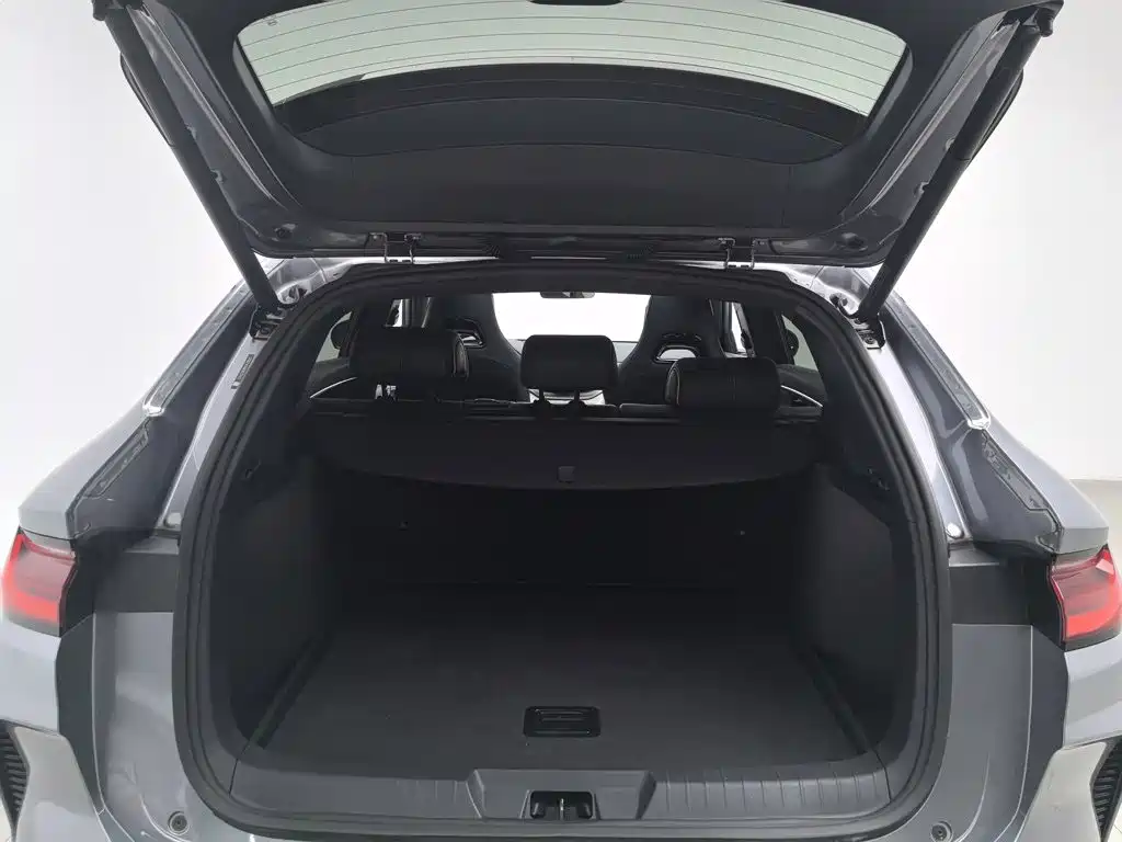 BYD Song PLUS New Energy 2024 — фото 16