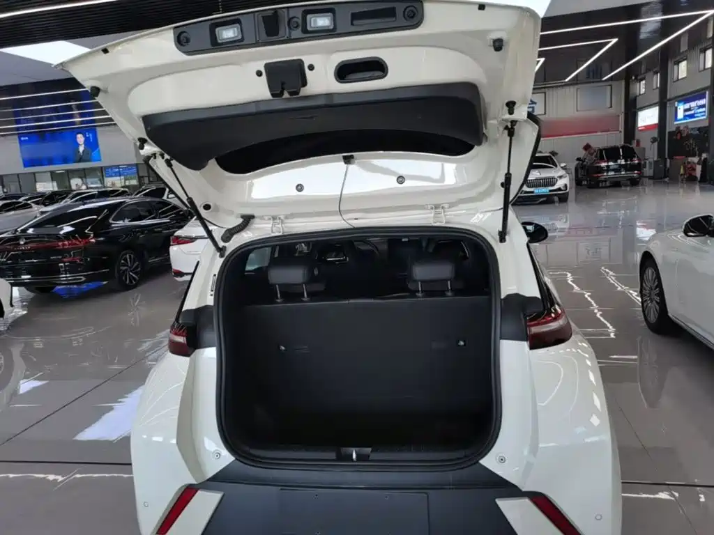 BYD Seagull 2023 — фото 19