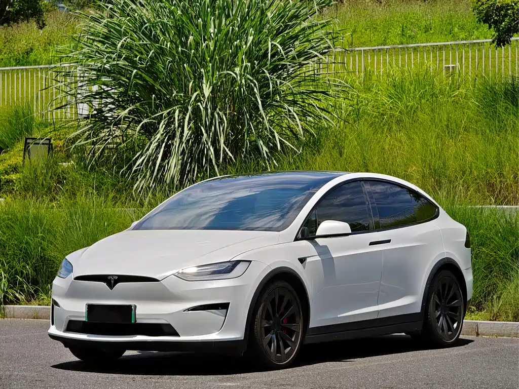 Tesla Model X 2023 — фото 3