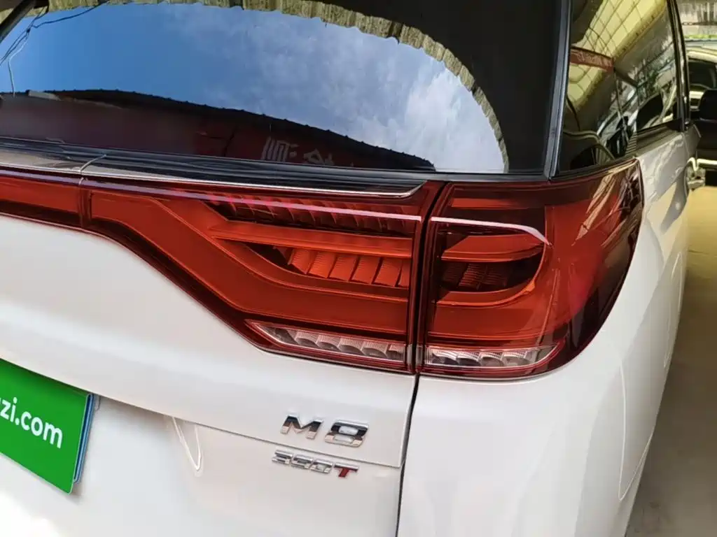 GAC Trumpchi M8 2020 — фото 8