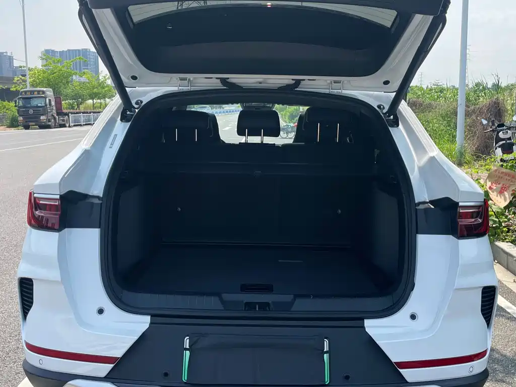 BYD PLUS New Energy 2022 — фото 25