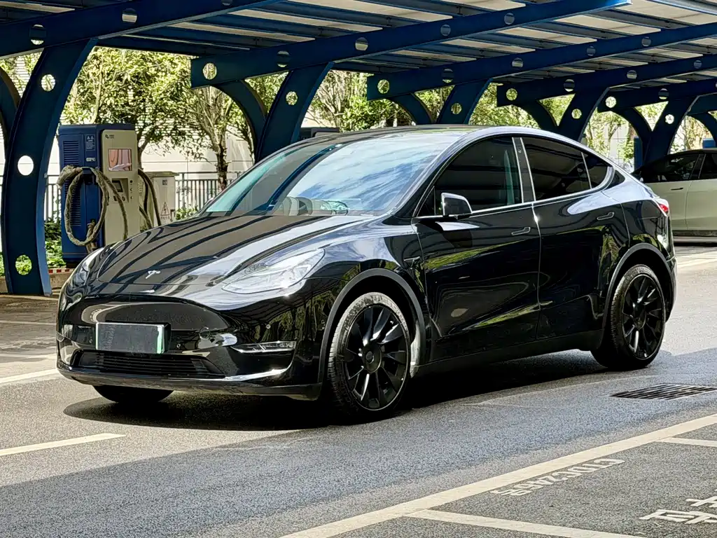 Tesla Model Y 2023 — фото 1