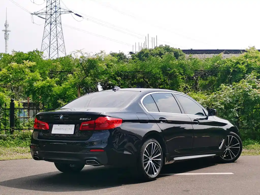 BMW 5 Series 2020