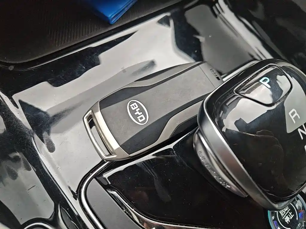 BYD Song PLUS New Energy 2021 — фото 15