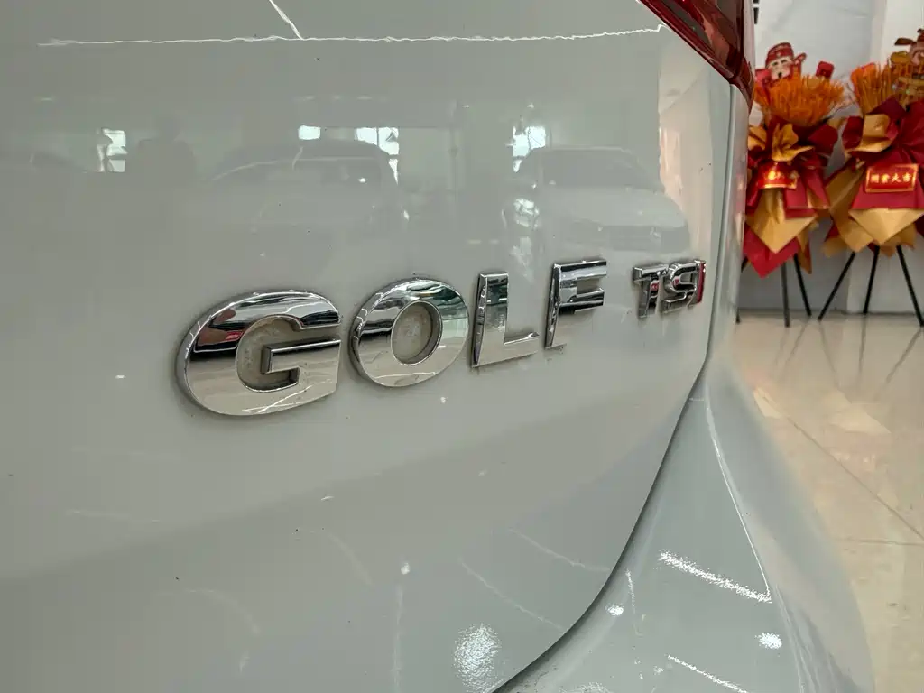Volkswagen Golf 2015 — фото 15