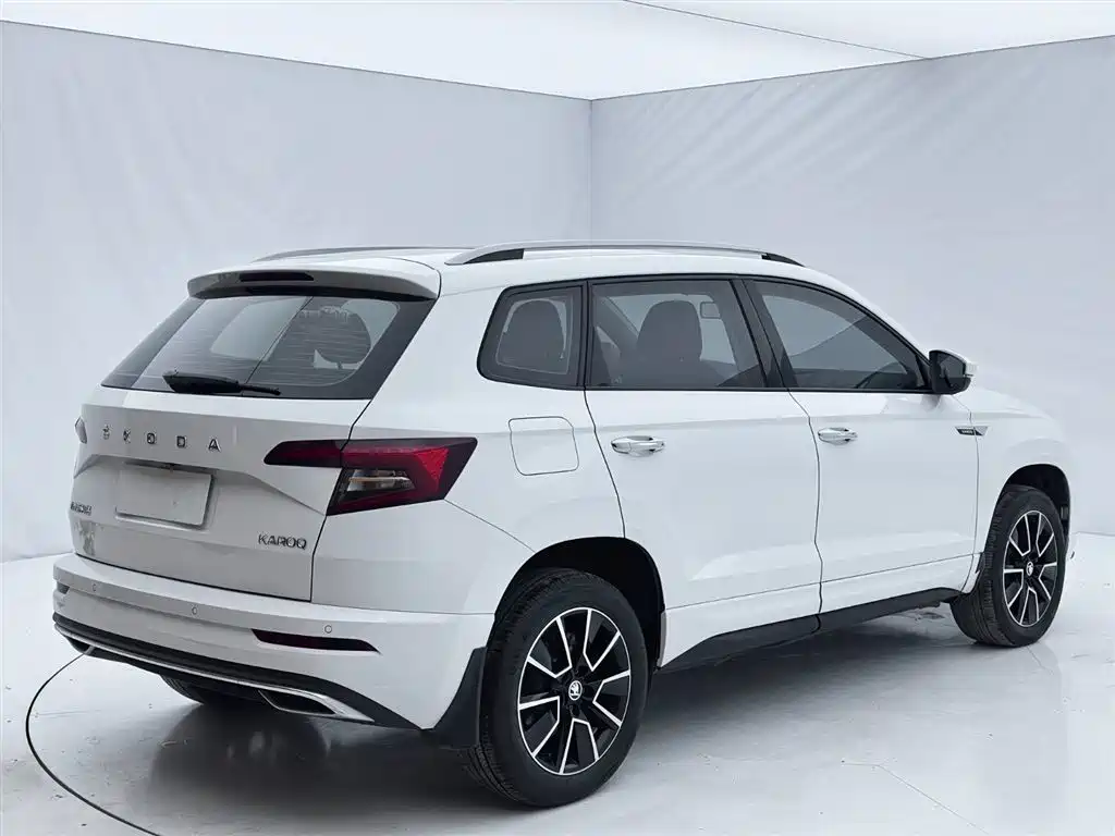 Skoda Karoq 2024 — фото 6
