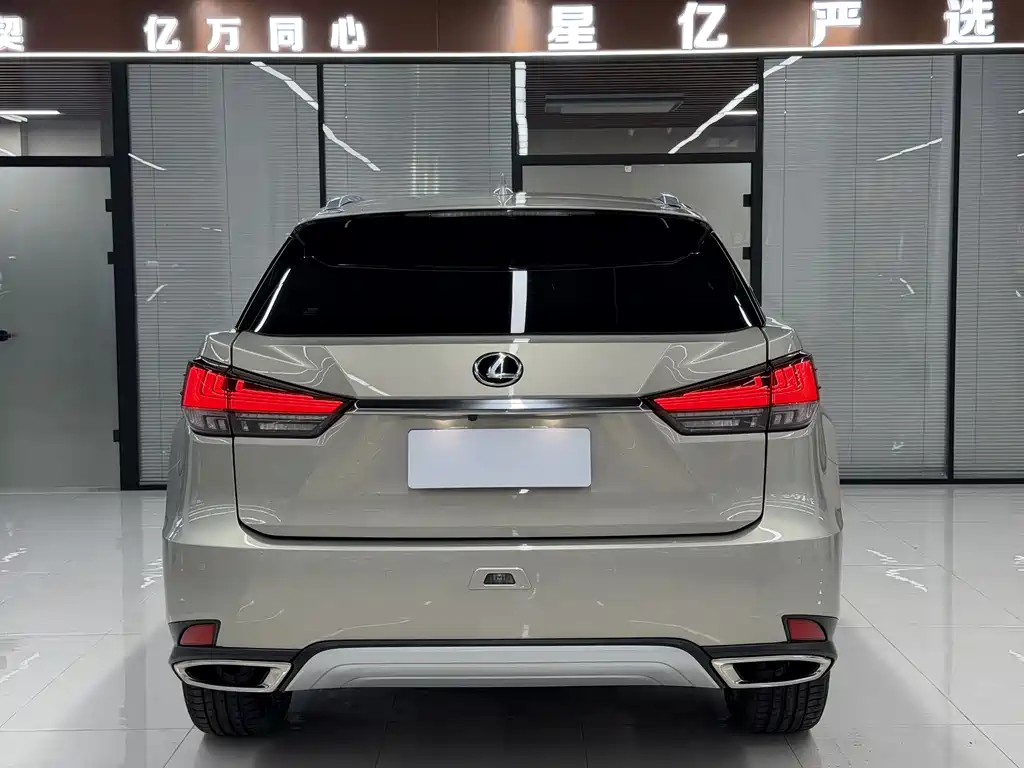 Lexus RX 2019 — фото 19
