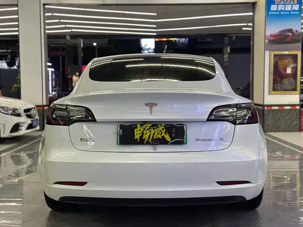 Tesla Model 3 2020