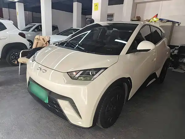 BYD Seagull 2024