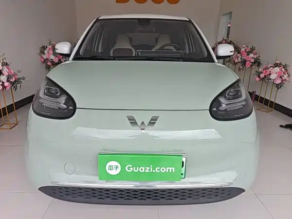 Wuling Bingo 2024