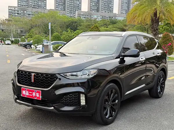 Wey VV6 2018