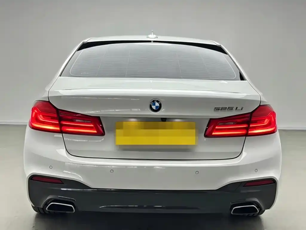 BMW 5 Series 2019