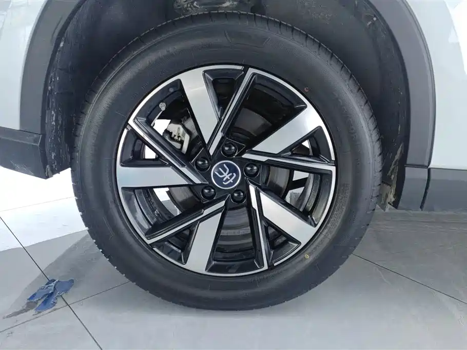 BYD Pro New Energy 2024 — фото 6