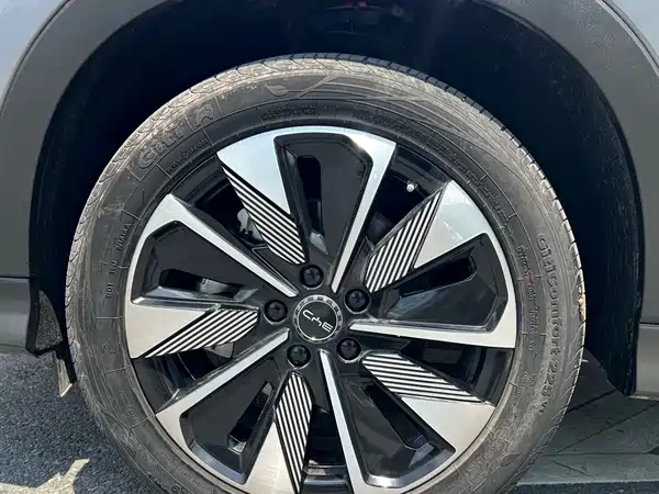 BYD Song PLUS New Energy 2024