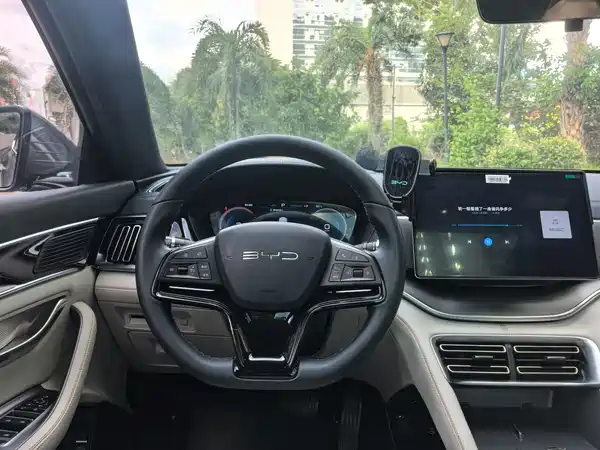 BYD Song PLUS New Energy 2024