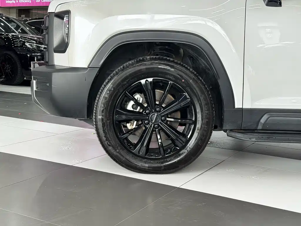 Haval Raptors New Energy 2024 — фото 8