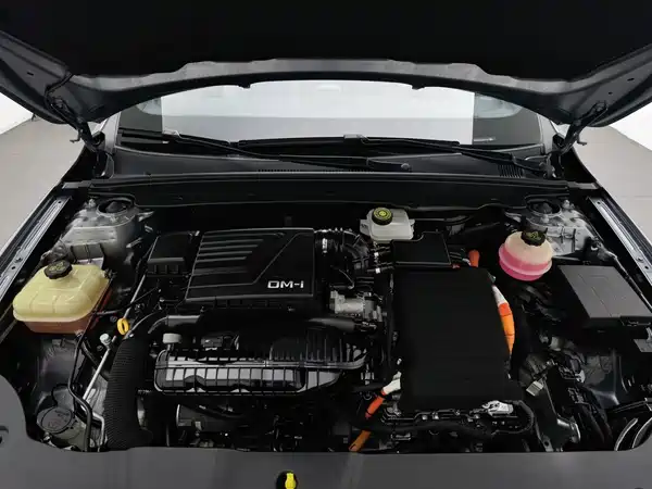 BYD Qin PLUS 2022