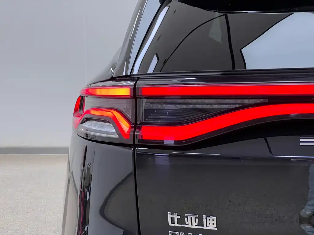 BYD Tang New Energy 2023 — фото 11