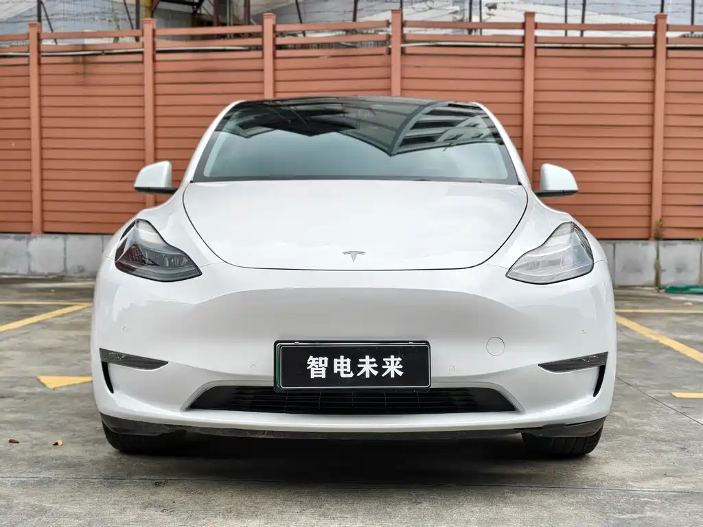 Tesla Model Y 2022 — фото 2