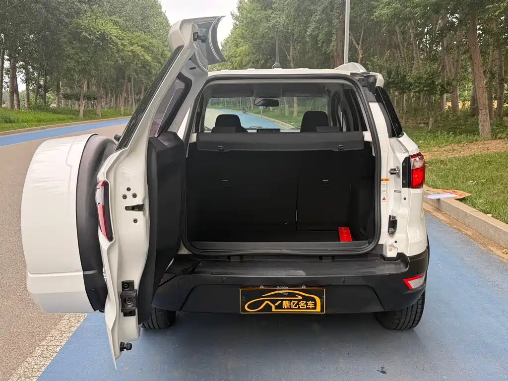 Ford Ecosport 2017 — фото 17